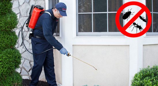 Termal Dezenfeksiyon böcek ilaçlama ve haşere kontrolü — ilaclama-tr.com